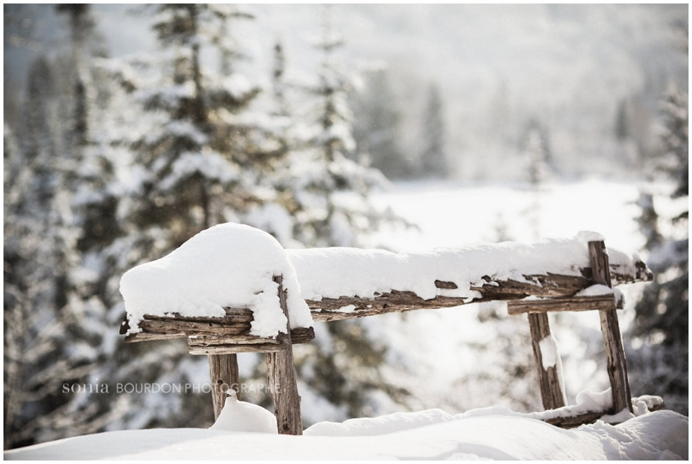 winter_shoot_laurentians_0032