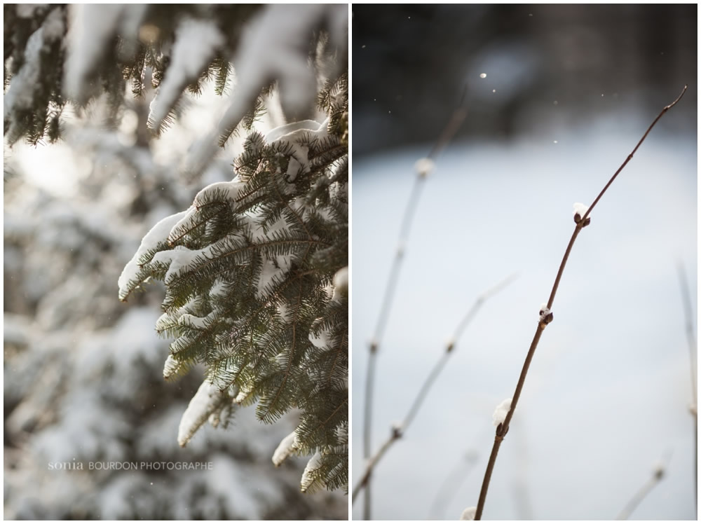 winter_shoot_laurentians_0034